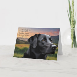 Tarjeta Loss of Pet Dog (Black Lab) Custom Sympathy Card