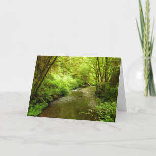 Tarjeta Lost Man Creek I en el Parque Nacional Redwood