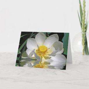 Tarjeta Lote blanco