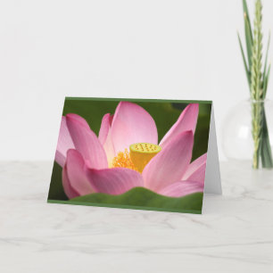 Tarjeta Lotus