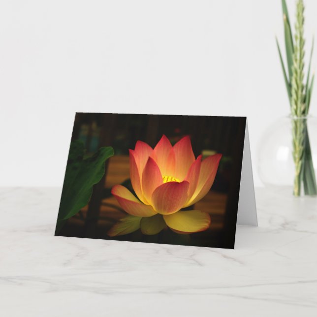Tarjeta Lotus 1 (Anverso)