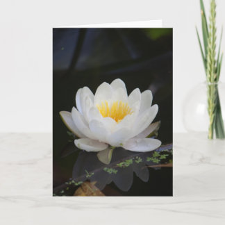Tarjeta Lotus #2360