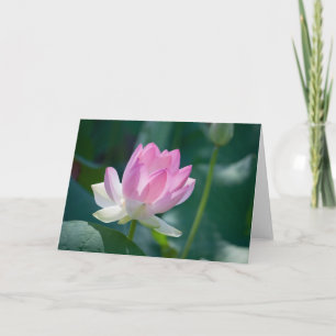 Tarjeta Lotus #2444