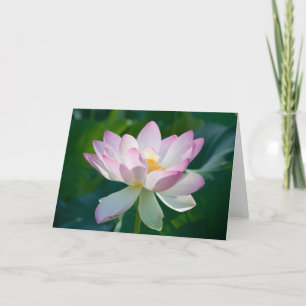 Tarjeta Lotus #2521