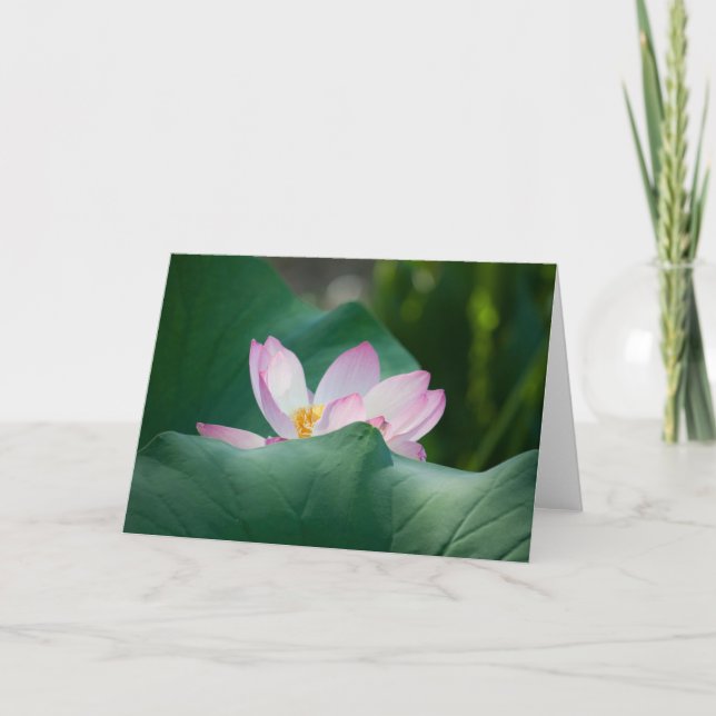 Tarjeta Lotus #2525 (Anverso)