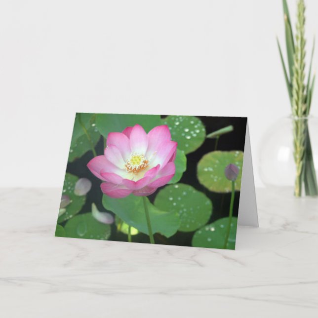Tarjeta Lotus Beauty (Anverso)