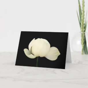 Tarjeta Lotus Bud