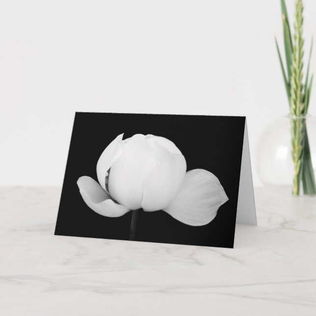 Tarjeta Lotus Bud (Anverso)