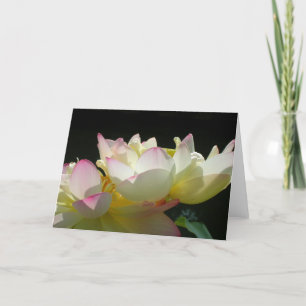 Tarjeta Lotus de baile