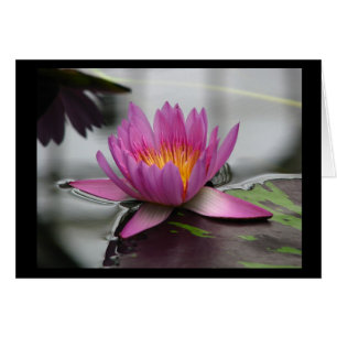 Tarjeta Lotus en blanco (vertical)