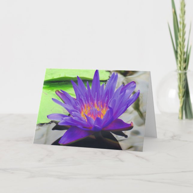 Tarjeta Lotus púrpura (Anverso)
