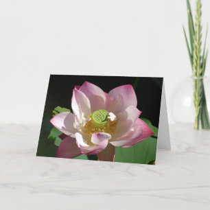 Tarjeta Lotus rosa