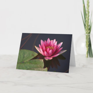 Tarjeta Lotus rosado