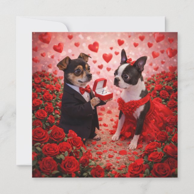 Tarjeta Louie & Luna te desean un día muy especial 3 (Anverso)