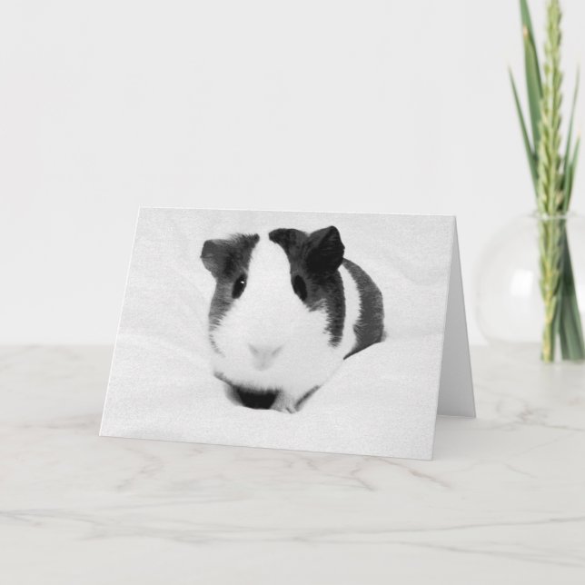 Tarjeta louise (Anverso)