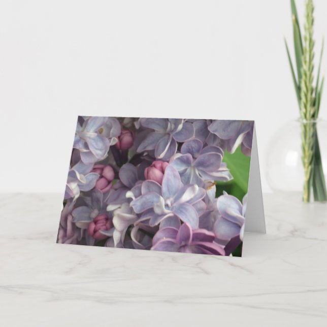 Tarjeta Lovely Lilac Greetings Card (Anverso)