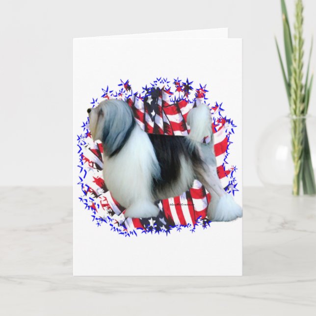 Tarjeta Löwchen Patriot (Anverso)