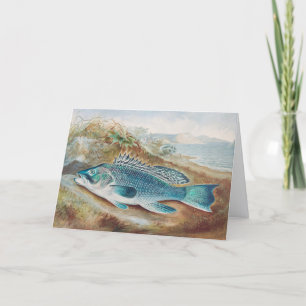 Tarjeta Lubina por S.A. Kilbourne, Pescado Antiguo
