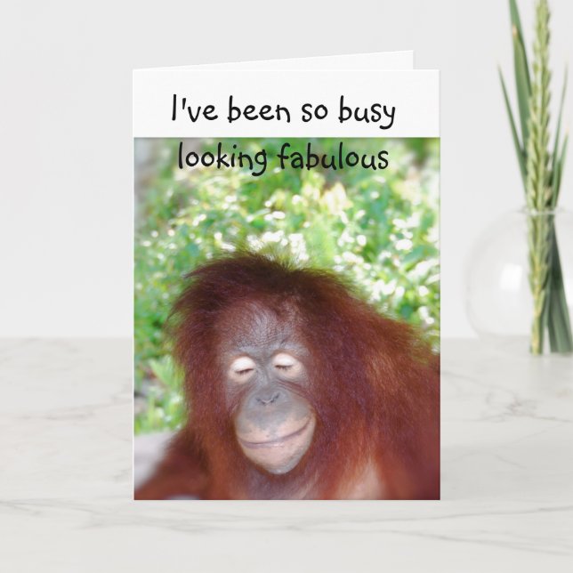 Tarjeta Luce fabuloso humor para cumpleaños tardío (Anverso)