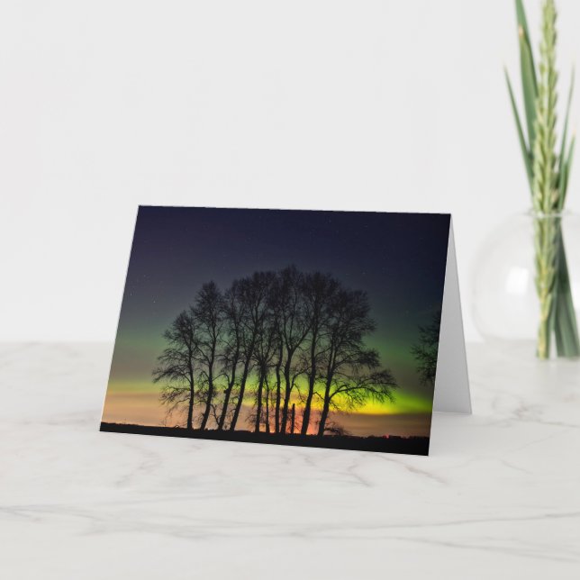 Tarjeta Luces boreales | Manitoba Canada Grande Pointe (Anverso)