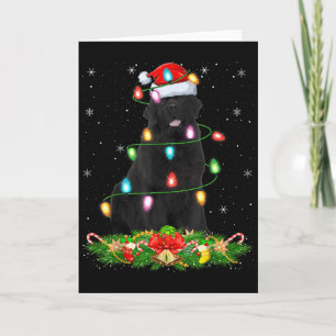 Tarjeta Luces de Navidad Perro Terranova Gorro de Santa Di