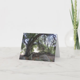 Tarjeta Luces del ángel