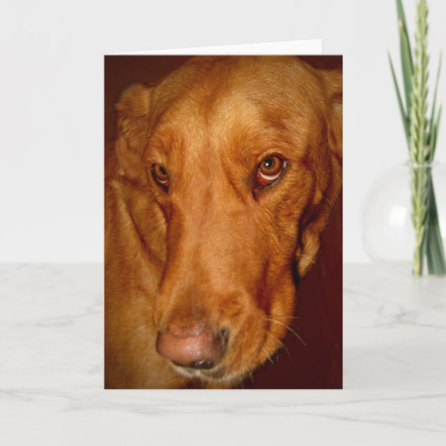 Tarjeta Lucky (Anverso)