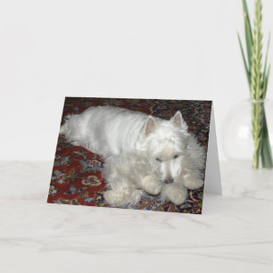 Tarjeta Lucy con su bebé