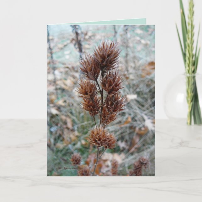 Tarjeta Luego (Anverso)