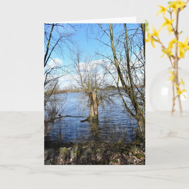 Tarjeta Lugares perdidos , Árboles en la orilla del río (flor amarilla)