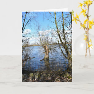 Tarjeta Lugares perdidos , Árboles en la orilla del río