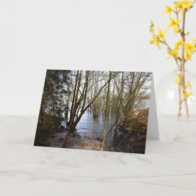 Tarjeta Lugares perdidos , Árboles en la orilla del río (flor amarilla)