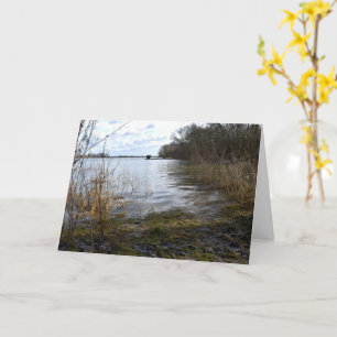 Tarjeta Lugares perdidos , Árboles en la orilla del río