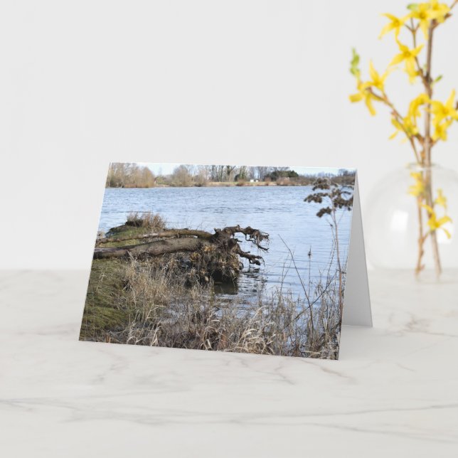 Tarjeta Lugares perdidos , Árboles en la orilla del río (flor amarilla)