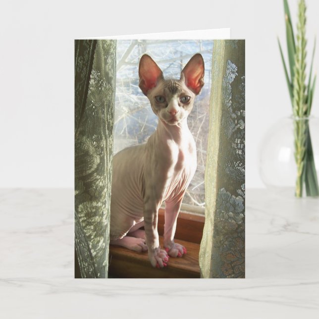 Tarjeta Luna (Anverso)