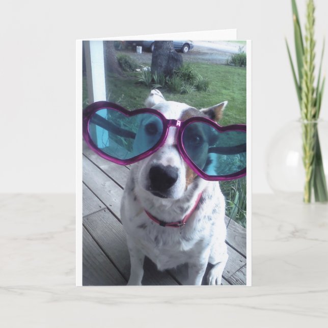 Tarjeta ¿Luna dice "mún día del pelo? Consiga vidrios más (Anverso)