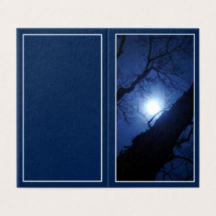 Tarjeta Luna Llena de Medianoche a Través de un Gran Árbol