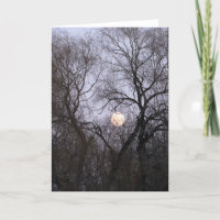 Luna Llena en foto desnuda de los árboles