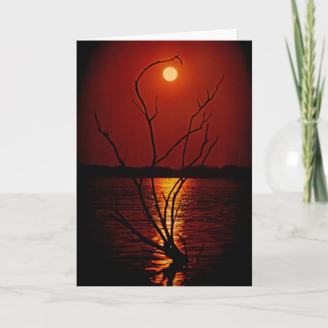 Tarjeta Luna llena sobre el lago notecard (Anverso)
