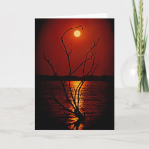 Tarjeta Luna llena sobre el lago notecard
