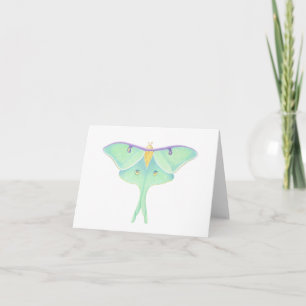 Tarjeta Luna Moth