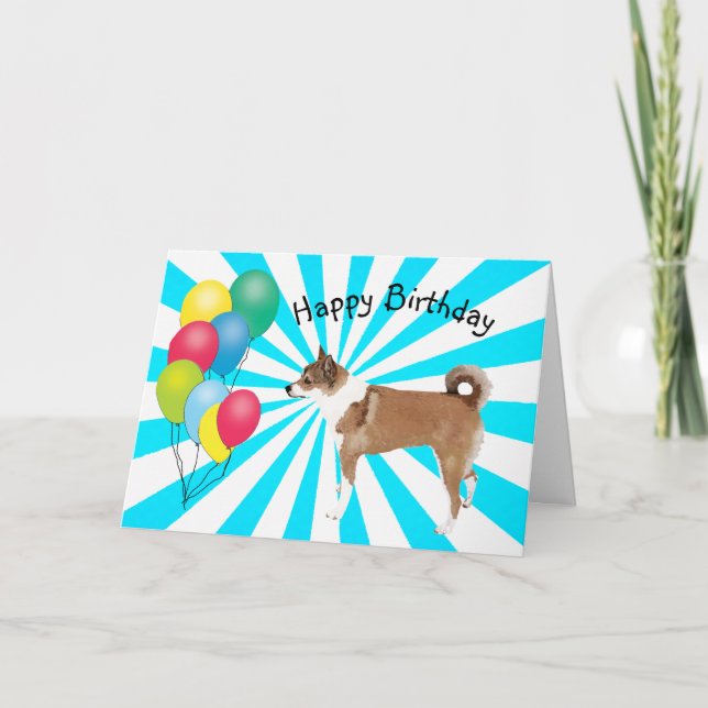 Tarjeta Lundehund noruego en cumpleaños Starburst blanco (Anverso)