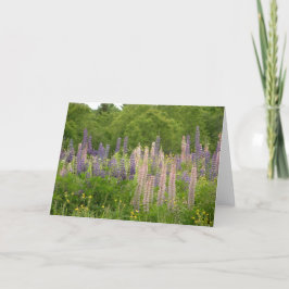 Tarjeta Lupine