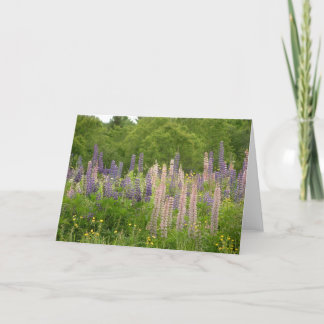 Tarjeta Lupine