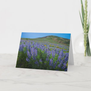 Tarjeta Lupine en blanco