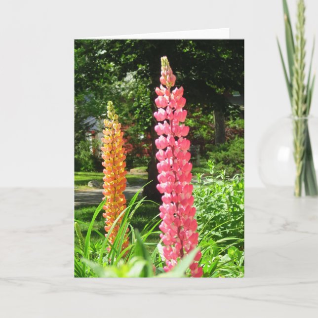 Tarjeta Lupines en un jardín de cabañas - Viñetería de Mar (Anverso)