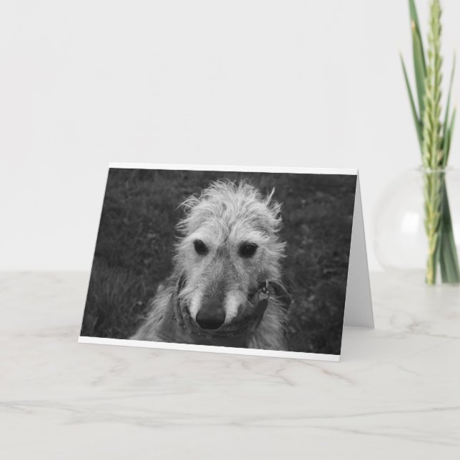 Tarjeta Lurcher (Anverso)