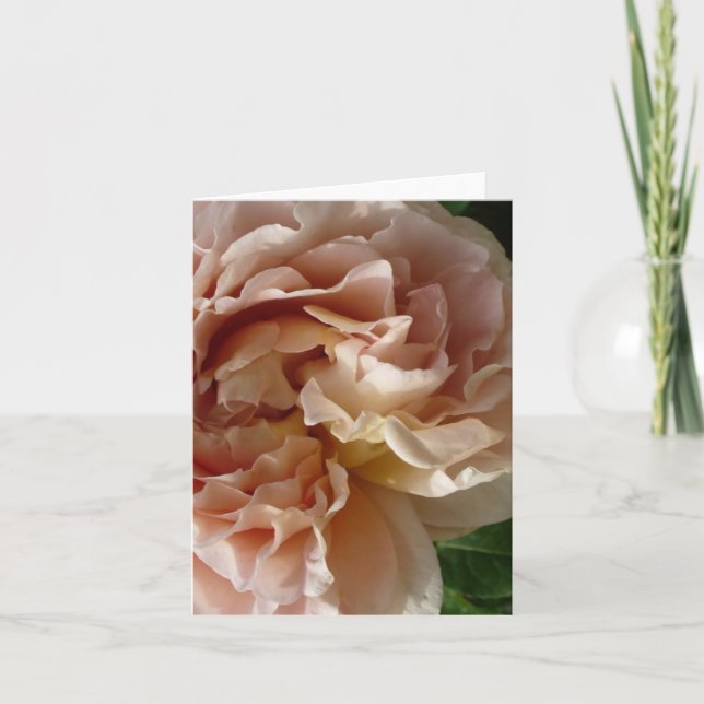 Tarjeta Lush Rubor Rosa notecard (Anverso)