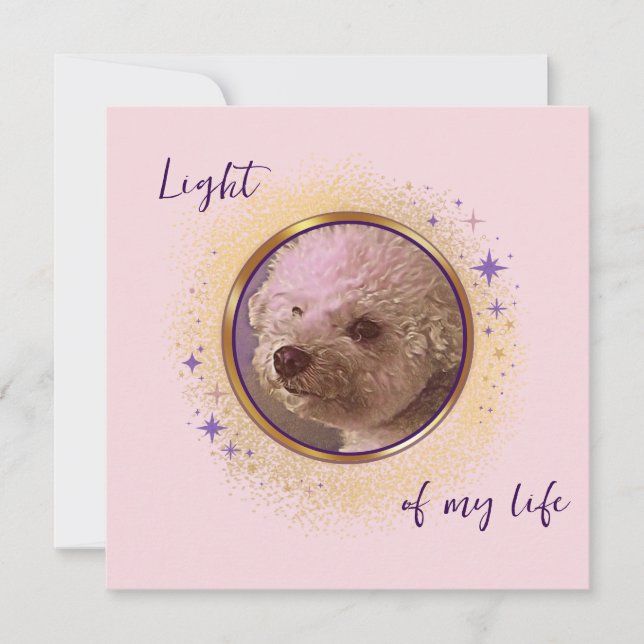 Tarjeta Luz de Mi Luz (Anverso)