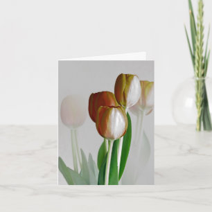 Tarjeta Luz del invierno